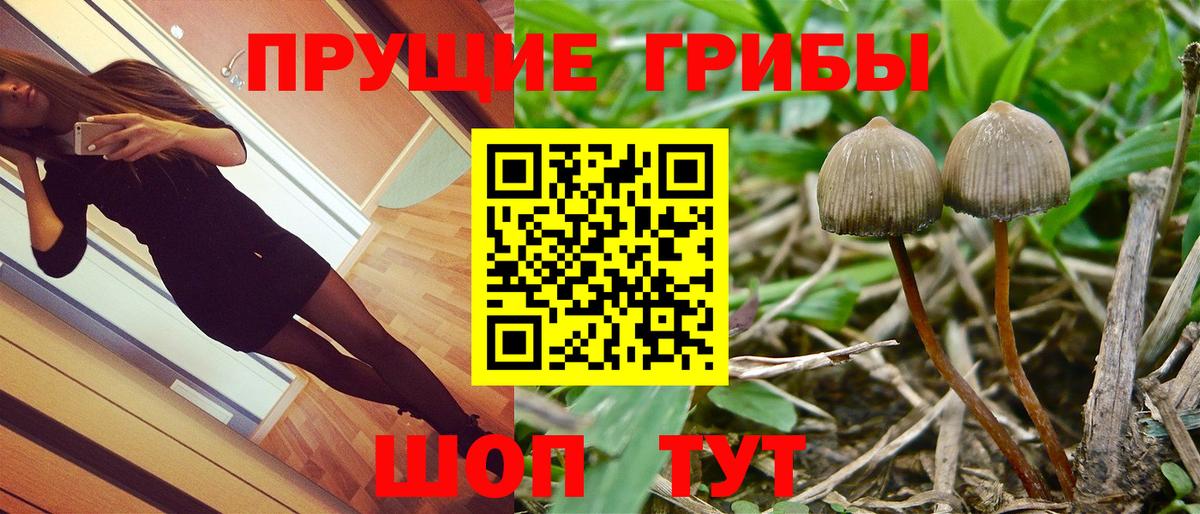 Псилоцибиновые грибы Psilocybe  Вход с VPN  Набережные Челны  Галлюциногенные грибы Magic Shrooms 